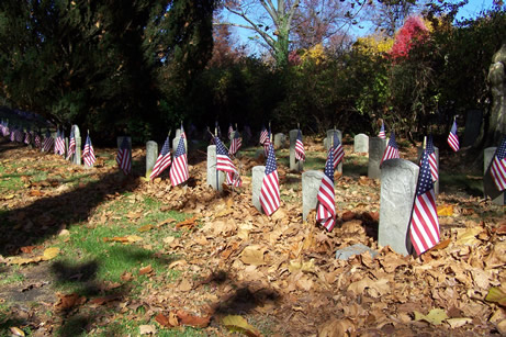 Three rows of short government issue military headstones, in sun, adorned with flags.
